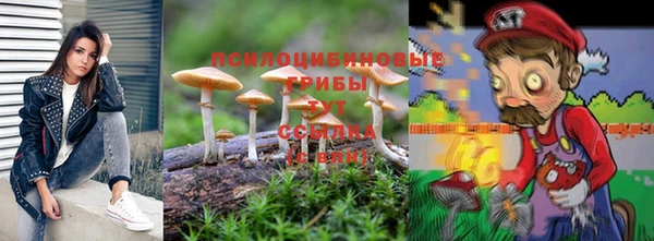 трава Алзамай